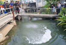 Chemical spill sends dozens to hospital in Thailand Chemical spill sends dozens to hospital in Thailand