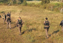 Manhunt under way after police shooting near border Manhunt under way after police shooting near border