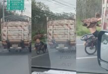 One Slip From Death: Cyclist Grabs Truck on Phuket Road