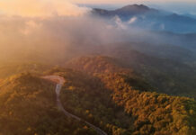 Doi Inthanon Temperatures Dropping to 3 Degrees Celsius Doi Inthanon Temperatures Dropping to 3 Degrees Celsius