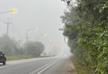 Dense fog sends truck plunging into ravine, killing two Dense fog sends truck plunging into ravine, killing two
