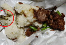 Man falls ill after finding gecko in roadside sticky rice Man falls ill after finding gecko in roadside sticky rice