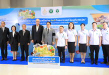 Thailand tackles obesity surge, promotes nutrition for health Thailand tackles obesity surge, promotes nutrition for health