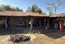 Blood-Soaked Son Beheads Mother and Dumps Head in Rice Field