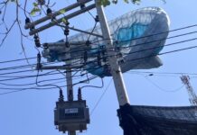 American Paraglider Rescued After Getting Stuck on High-Voltage Power Pole in Koh Larn