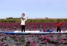 Winter Magic in Udon Thani: The Red Lotus Sea Is Open!