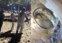 Venomous fish sting sends man to hospital at Pattaya beach