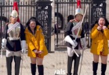 “Do not touch the King’s Guard!” British guard yells at Thai woman