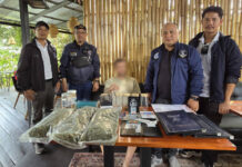 Thai police raid 25 sites on Koh Phangan, charge 35 Thai police raid 25 sites on Koh Phangan, charge 35