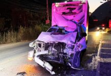Truck Hits Elephant Near Khao Yai, Driver Critically Injured Truck Hits Elephant Near Khao Yai, Driver Critically Injured