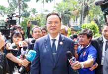 Anutin’s agenda: Border wall and barter-based arms deals