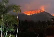 Helicopter douses Phetchabun blaze, but fire still reignites Helicopter douses Phetchabun blaze, but fire still reignites