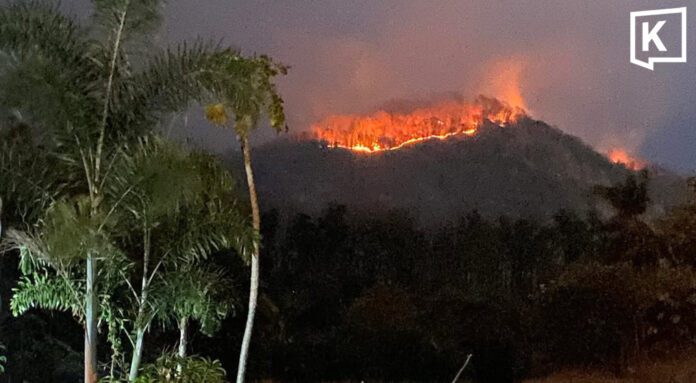 Helicopter douses Phetchabun blaze, but fire still reignites