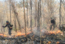 Phetchabun wildfire still burning after 48 hours Phetchabun wildfire still burning after 48 hours