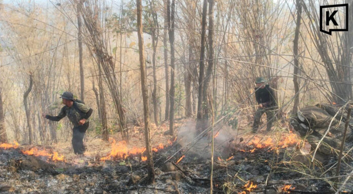 Phetchabun wildfire still burning after 48 hours Phetchabun wildfire still burning after 48 hours