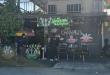 Phuket police raid unlicensed cannabis shop Phuket police raid unlicensed cannabis shop