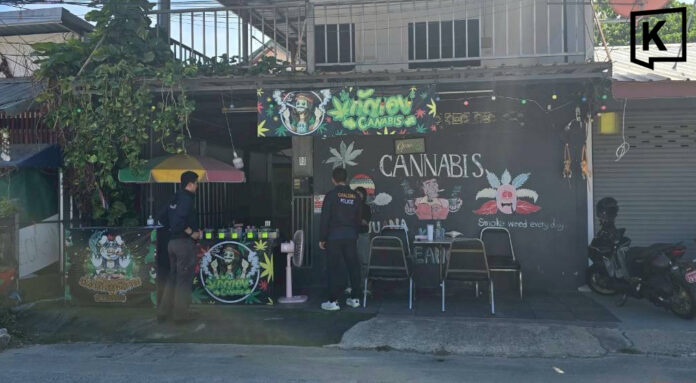 Phuket police raid unlicensed cannabis shop Phuket police raid unlicensed cannabis shop