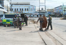 Psychiatric crisis monk alarms Phayao bus terminal Psychiatric crisis monk alarms Phayao bus terminal