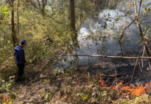 Southern Chiang Mai faces rising forest fire risk Southern Chiang Mai faces rising forest fire risk
