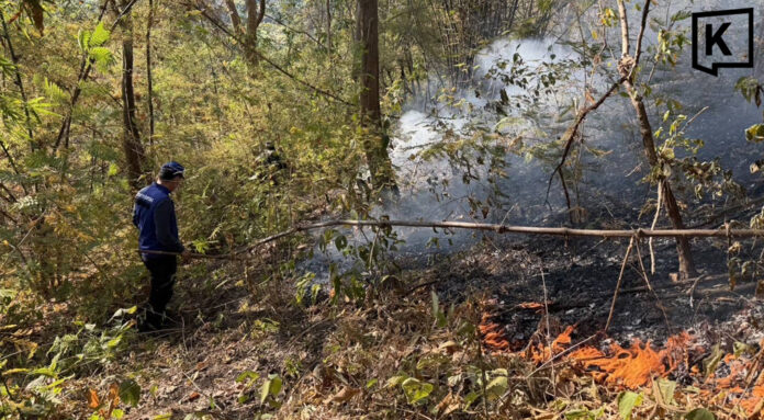 Southern Chiang Mai faces rising forest fire risk Southern Chiang Mai faces rising forest fire risk