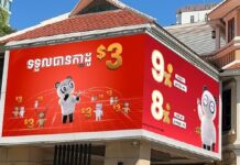 Cambodia suspends Panda Commercial Bank’s operations for worsening financial situation