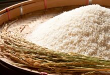 Thai rice exports fall 17.5% in January, 2026 outlook seen at five-year low