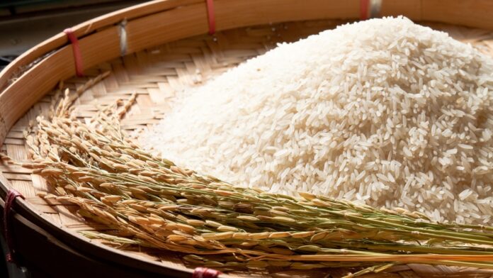 rice
