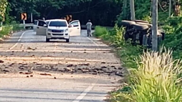 roaddebris