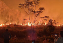 Sakaerat wildfire burns more than 3,000 rai in Nakhon Ratchasima