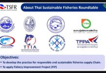 Thai seafood industry stepping up sustainability efforts