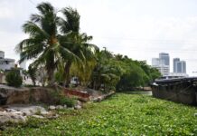 Bangkok plans two new green spaces in Bang Sue to boost urban livability