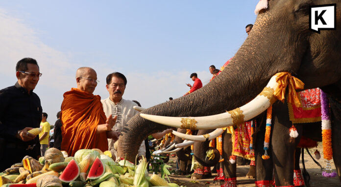 Ayutthaya marks Thai Elephant Day with feast for 70 elephants Ayutthaya marks Thai Elephant Day with feast for 70 elephants