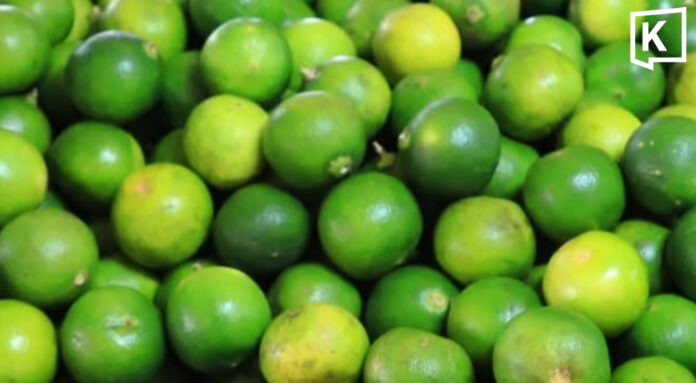 Lime prices hit 80 baht per kg amid drought Lime prices hit 80 baht per kg amid drought