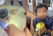 Man arrested after knife-point sexual assault of 14-year-old girl Man arrested after knife-point sexual assault of 14-year-old girl