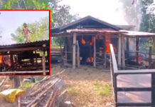 Meth-fuelled man burns buffalo pen, threatens father Meth-fuelled man burns buffalo pen, threatens father
