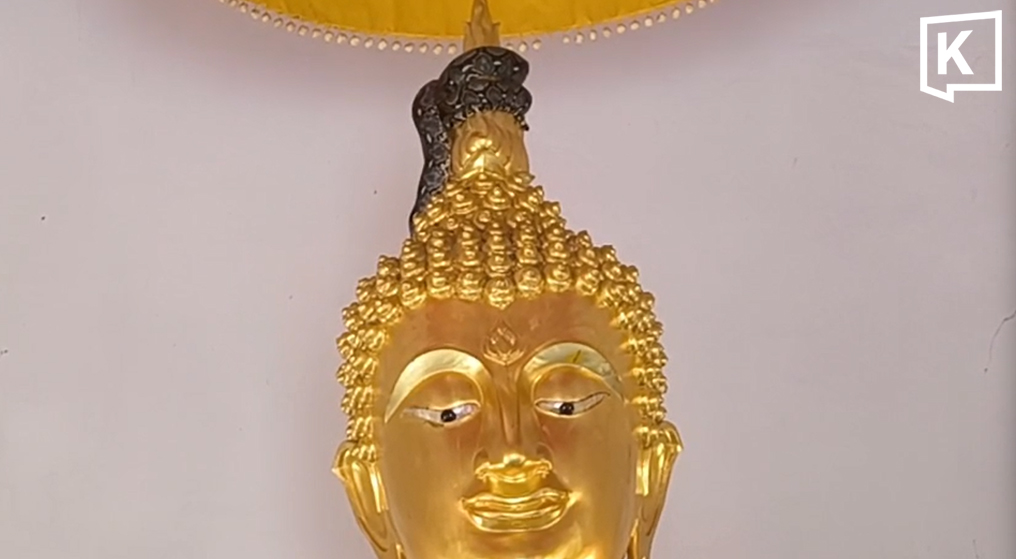 Python found coiled around Buddha statue in Nakhon Nayok