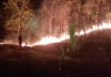 Wildfires surge to nearly 100 hotspots in Mae Hong Son Wildfires surge to nearly 100 hotspots in Mae Hong Son