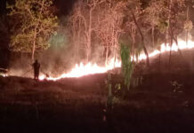 Wildfires surge to nearly 100 hotspots in Mae Hong Son Wildfires surge to nearly 100 hotspots in Mae Hong Son