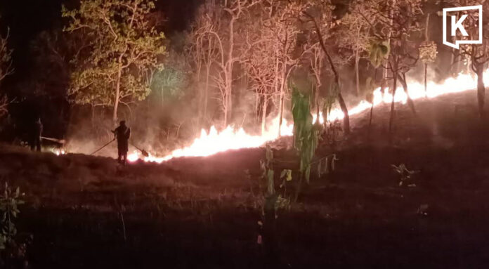 Wildfires surge to nearly 100 hotspots in Mae Hong Son Wildfires surge to nearly 100 hotspots in Mae Hong Son