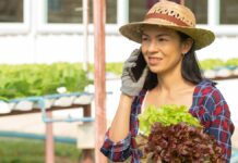 Grow food, raise chickens: senator’s advice on rising costs