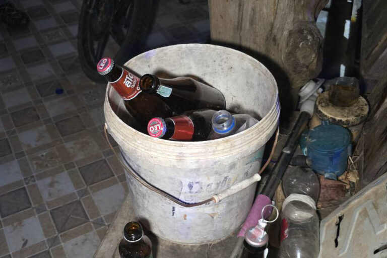 A picture of several bottles of Leo beer and other bottles inside of a white bucket with a handle