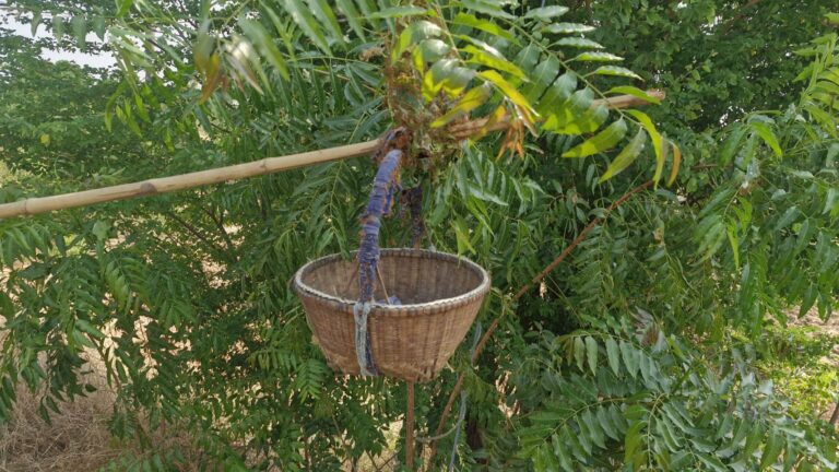 news119103 UTH3d8l4Zp1773972980