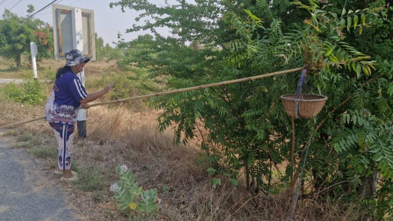 news119103 okrM9XE5fD1773972980