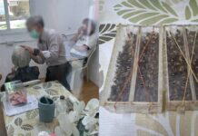 Police raid illegal clinic using bee stingers to treat eye conditions