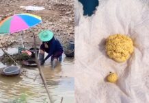 Gold rush hits Loei as Mekong villagers pan for treasure amid record prices