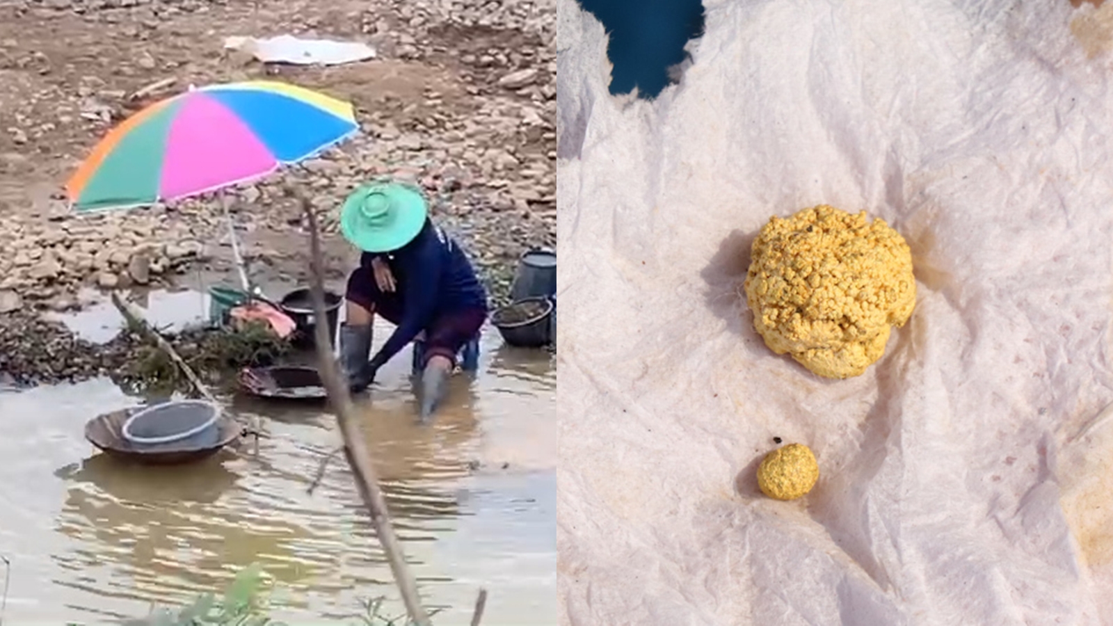 Золотая лихорадка на Меконге: жители Лоэй ищут сокровища на обмелевших берегах