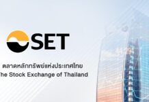 SET trading halted after index plunges 8%, triggers circuit breaker