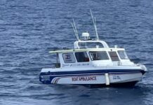 Thai rescue boat travels 60 nautical miles to save Cambodian sailor bitten by sea snake