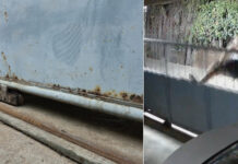 Axe-wielding neighbour leaves woman living in fear Axe-wielding neighbour leaves woman living in fear