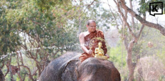 Elephants lead Songkran water pouring and blessing parade Elephants lead Songkran water pouring and blessing parade